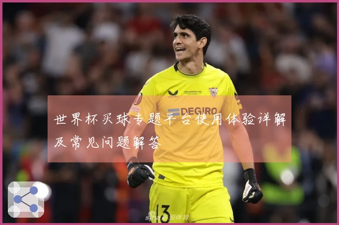 世界杯买球专题平台使用体验详解及常见问题解答