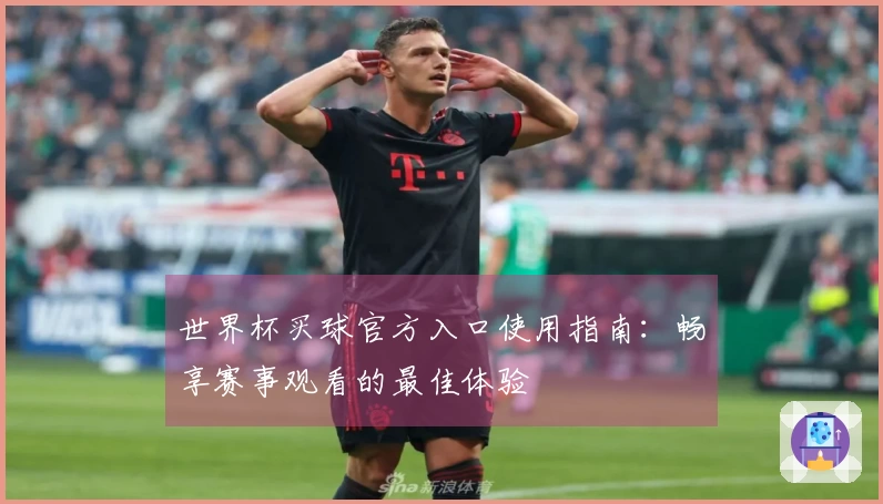 世界杯买球官方入口使用指南：畅享赛事观看的最佳体验