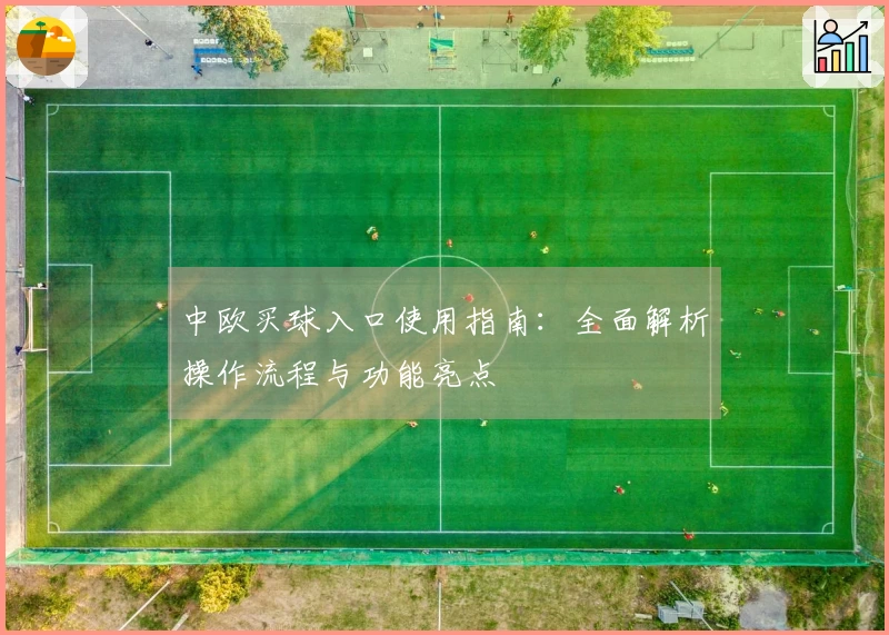 中欧买球入口使用指南：全面解析操作流程与功能亮点
