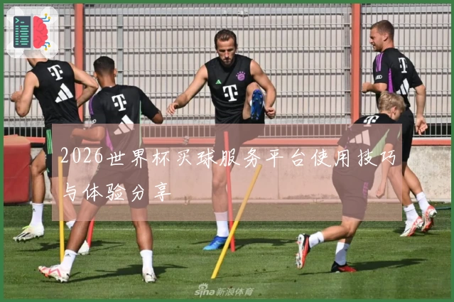 2026世界杯买球服务平台使用技巧与体验分享