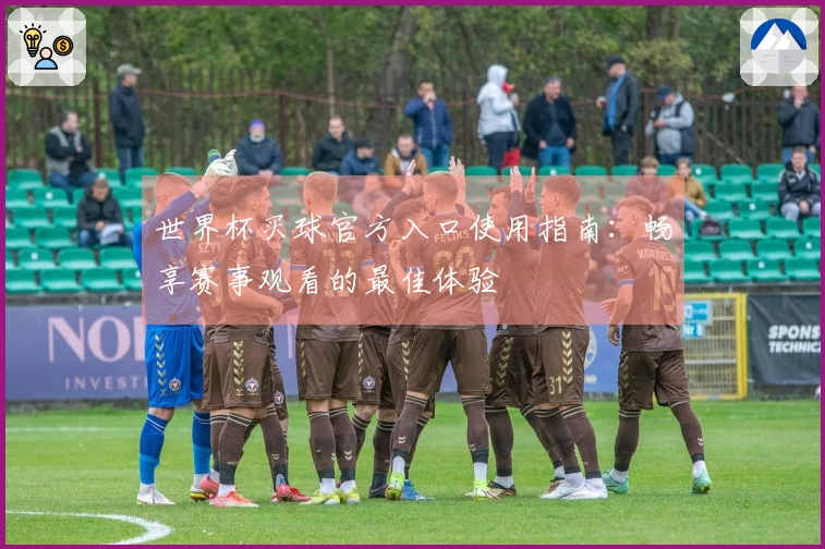 世界杯买球官方入口使用指南：畅享赛事观看的最佳体验