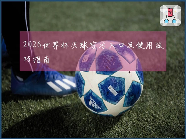 2026世界杯买球官方入口及使用技巧指南